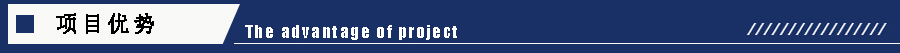 1605170470199541.jpg 項目優(yōu)勢.jpg